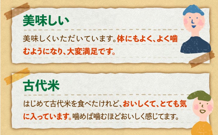 古代七穀米 ( 500g ) 【だいちの家】[HAG002] 雑穀 雑穀米 古代米 発芽玄米 玄米 黒米 麦 健康食品 健康
