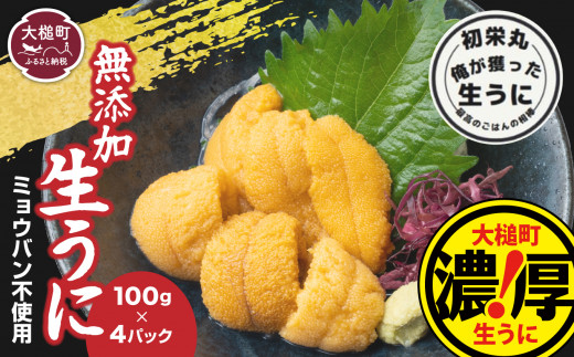 【令和8年6月発送先行予約】三陸産 生うに 100g×4パック【35】