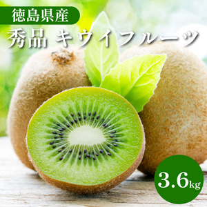 秀品 キウイ 24~30玉 3.6kg キウイ