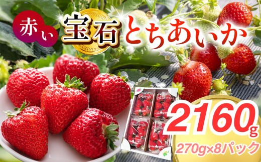 いちご【先行予約】【2027年1月以降発送】赤い宝石「とちあいか」 数量限定 約270g×8パック 合計約2160g【栃木県 真岡市産】いちご 果物 イチゴ 苺 旬 産地直送 国産
