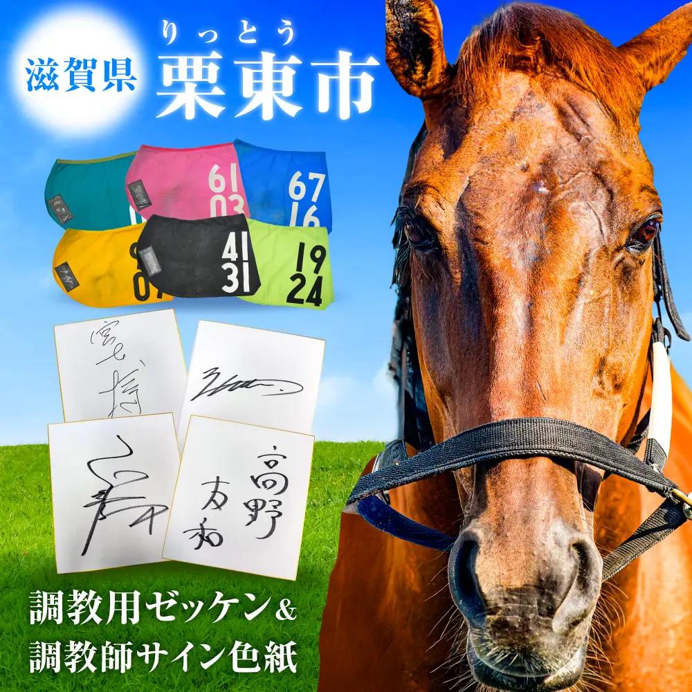 【JRA/日本中央競馬会】調教用ゼッケンと調教師サイン色紙 (栗東カラー) BIAM006 競馬 