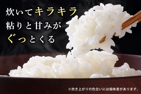 筑波山麓厳選米【特A】コシヒカリ（恋瀬姫の舞）白米15kg B07-013