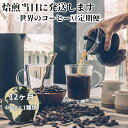 【ふるさと納税】【コーヒー豆定期便12か月】『焙煎幸房“そら”』世界を旅するコーヒー 酸味は苦手、浅煎り抜き 400g×1種類