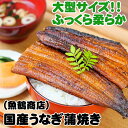 【ふるさと納税】大型サイズ ふっくら柔らか国産うなぎ蒲焼き ※離島への配送不可 / 土用 土用の丑 丑の日 蒲焼 うなぎ 鰻 たれ 国産 お祝い グルメ ギフト プレゼント 父の日 母の日 敬老の日 //fish //best