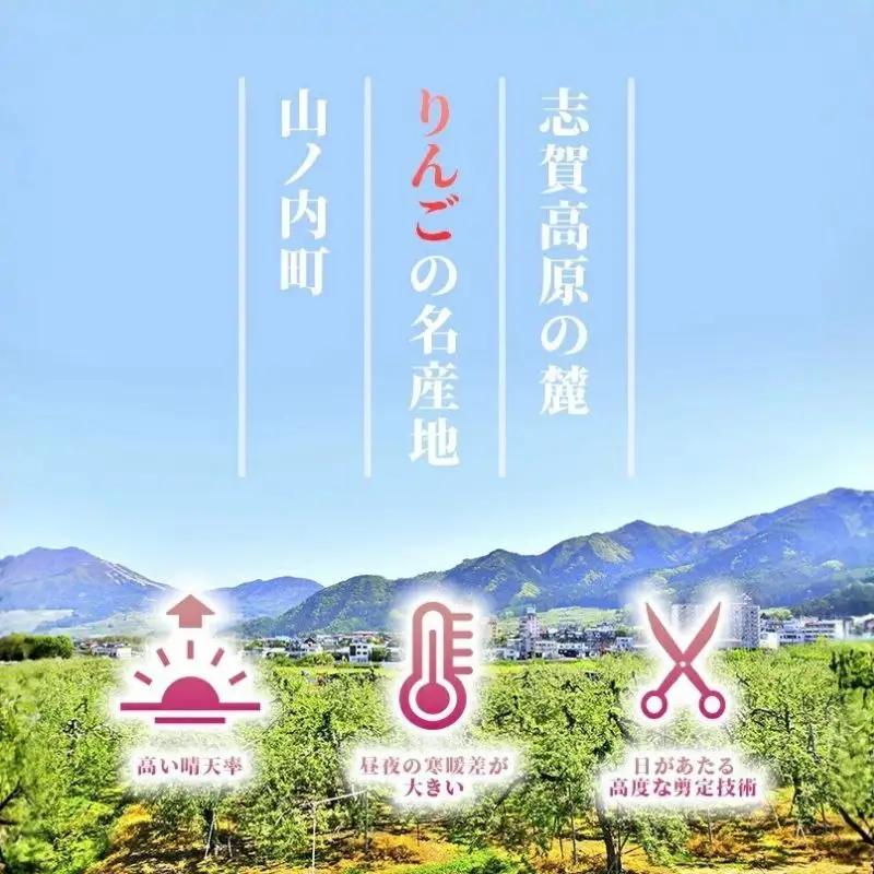 りんご ぐんま名月 秀品 3kg 7～11玉 りんご