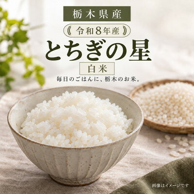 【ふるさと納税】【令和8年産】栃木県産 とちぎの星 白米 20kg(5kg×4袋)【2000210】