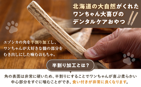 プレシカ 鹿の角 Lサイズ （15センチ半割り１本） | 犬 ペット用 愛犬用 おもちゃ 玩具 鹿角 エゾシカ 歯みがき ガム デンタルケア ストレス発散 天然 無添加 北海道 津別町 送料無料