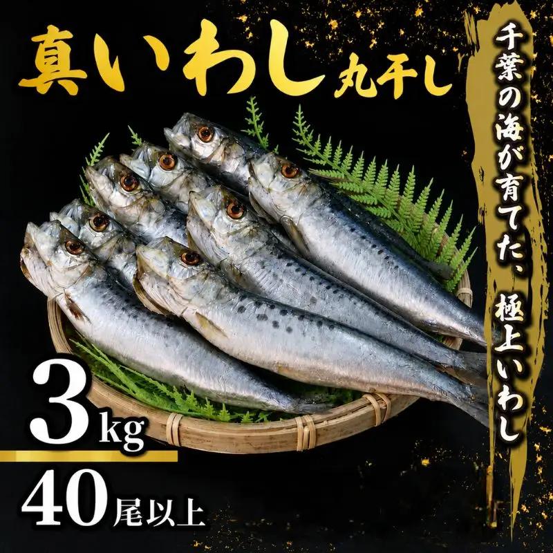 いわしの丸干し  約 3kg   イワシ