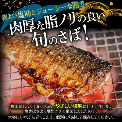 ふるさと納税 湯浅町 【ご家庭用　訳あり】　塩さばフィレ　1kg |  | 01