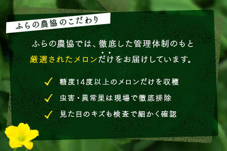 【2025年発送】富良野メロン　2玉（2kg×2玉）【JAふらの】【AC-004】