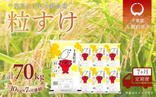 ＜7か月定期便＞ 千葉県産「粒すけ」精米 10kg×7か月連続 計70kg