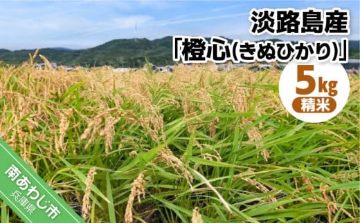 令和７年度産 新米 淡路島産「橙心(きぬひかり)」　精米5kg　◆配送9月末～