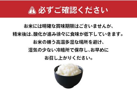 青森県産 無洗米 はれわたり 10kg　