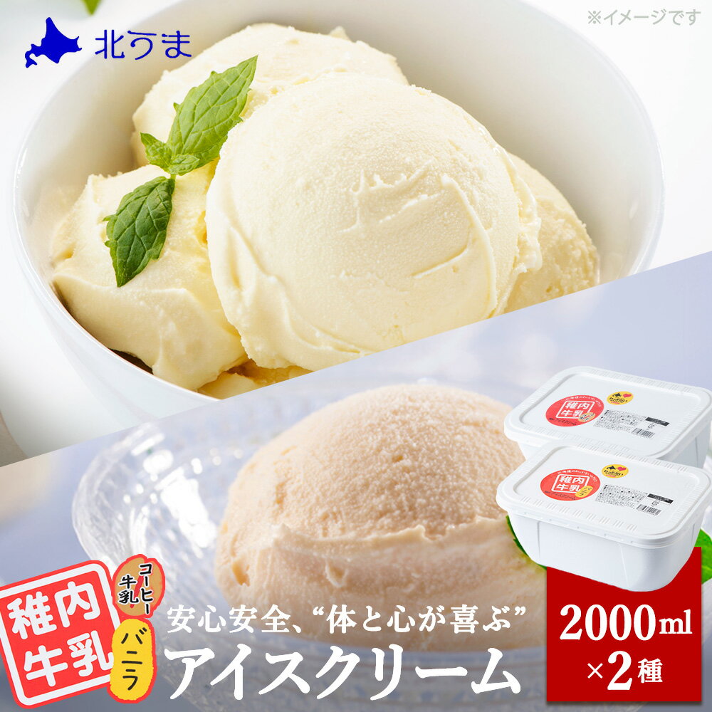 【ふるさと納税】【業務用】稚内牛乳アイスクリーム2000mlバニラ×コーヒー牛乳2個セットアイス アイスクリーム スイーツ デザート 氷菓 牛乳 北海道ふるさと納税 稚内 ふるさと納税 北海道 【配送不可地域：離島・沖縄県】