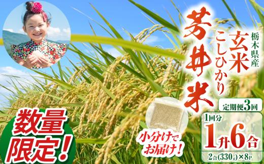 【定期便3回】【数量限定】【令和7年度】那珂川町産芳井米 玄米 330g（2合分）×8 | こしひかり  米 ごはん  ふっくら もちもち  ふるさと納税 那珂川町 栃木県