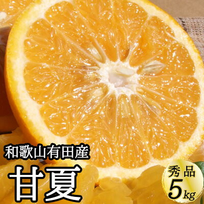 
V7305_【ふるさと納税】甘夏 (あまなつ) 秀品 約5kg 和歌山県有田産 春みかん 春柑橘 (果実サイズおまかせ) / 紀伊国屋文左衛門本舗
