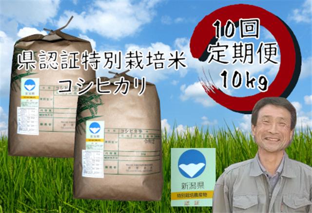 【令和6年産新米】【10回定期便】新潟県認証！特別栽培米 コシヒカリ 10kg 1G03201