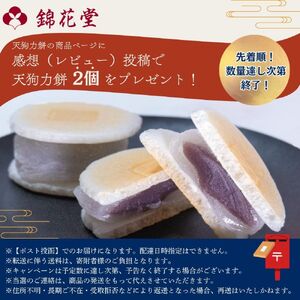 老舗の味 天狗力餅30個入　和菓子　力もち　こし餡　職人の手作り【knkd003】