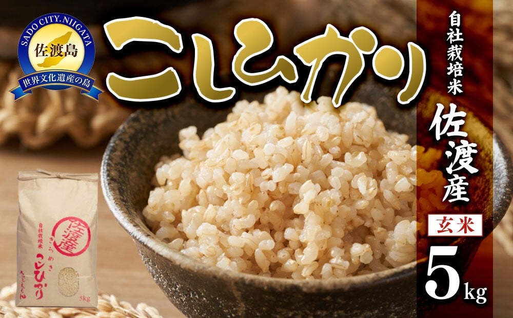 
            【先行予約】【令和7年米】自社栽培米佐渡産こしひかり（玄米5kg）
          