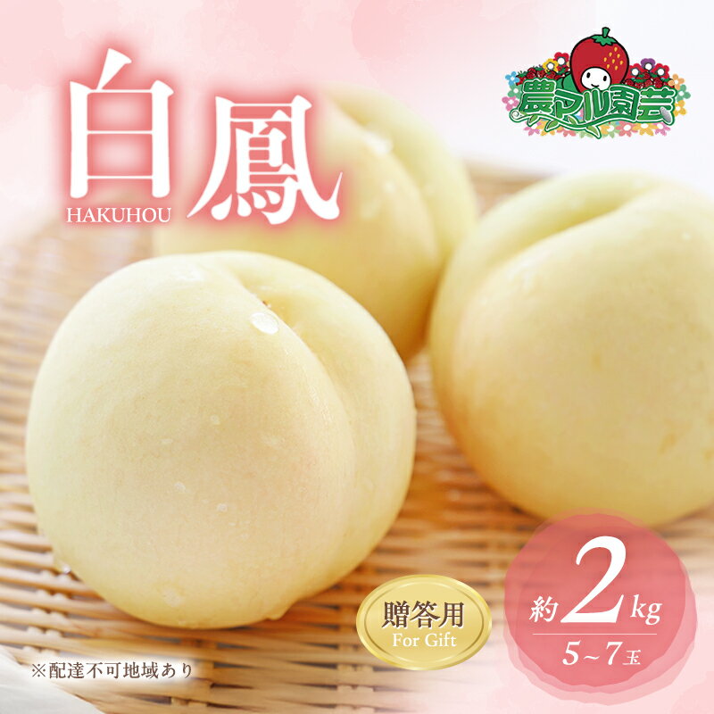 【ふるさと納税】桃 2026年 先行予約 白桃 白鳳 約2kg 5～7玉 贈答用 もも モモ フルーツ 果物 岡山 赤磐市産 農マル園芸 あかいわ農園 　お届け：2026年7月上旬～2026年7月下旬