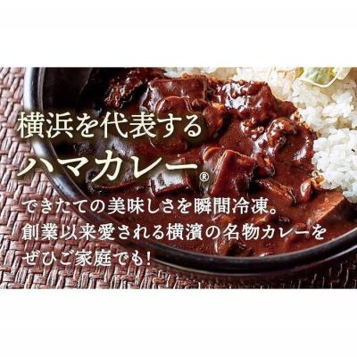 ふるさと納税 横浜市 サンアロハ「ハマカレー　ビーフ　230g×4個パック」 |  | 01