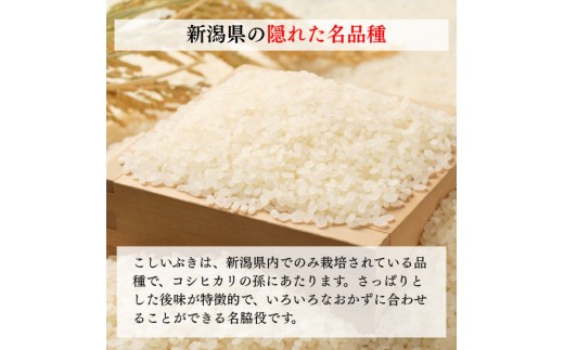 令和8年産 新潟県上越産 こしいぶき 10kg 10キロ（5kg×2）【白米】 新米 おおた農場 上越市