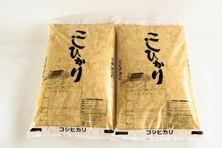 【12回定期便】《 新米先行予約 》 こしひかり 京丹波町産 10kg 12カ月定期便 合計120kg 令和6年産【 米 新米 定期便 精米 新米 定期便 米 新米 定期便 こしひかり 新米 定期便 