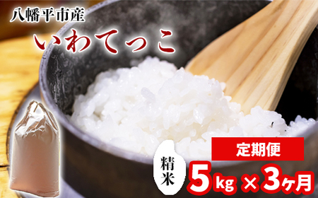 新米 先行予約 【令和8年産】 いわてっこ 精米 5kg ×3ヶ月定期便 《2026年11月より順次発送開始予定》 ／ 白米 岩手県産 中沢農産