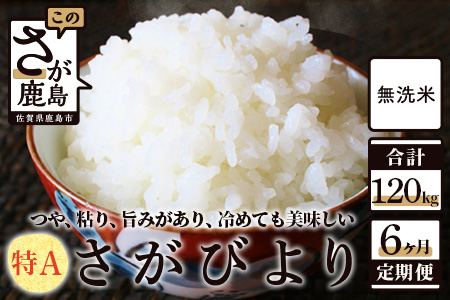  無洗米さがびより20kg定期便（6か月） N-15