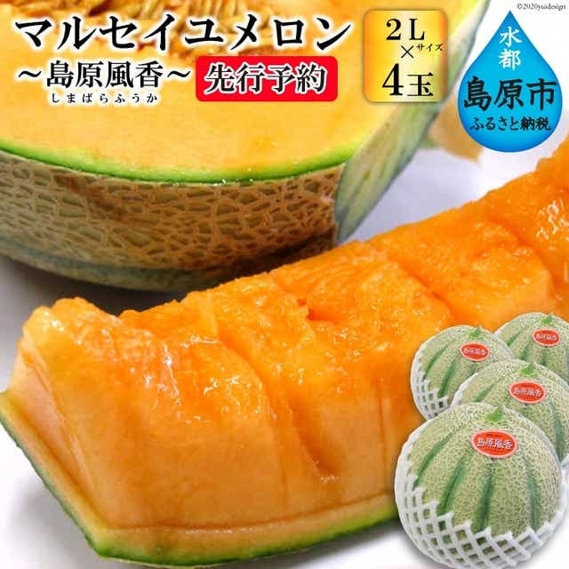 BD203【令和8年度出荷分】マルセイユメロン-島原風香-（2L×4玉） [農事組合法人　『舞岳の里』生産組合 長崎県 島原市 BD203] メロン 赤肉 果物 くだもの フルーツ 産地直送
