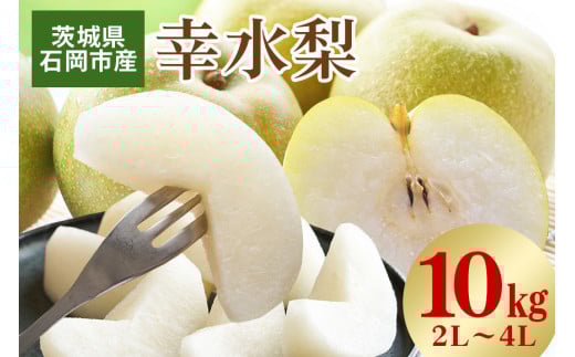 【 2025年 先行予約 】 幸水梨 2L～4L（ 二段 10kg ）梨 約 24玉 ～ 32玉 品種 幸水 なし ナシ 果物 フルーツ 4L 3L 2L サイズ 10キロ 8月 発送 夏 旬 産地直送 農家直送 産直 国産 くだもの 甘い 酸味 茨城県産 茨城県 石岡市 (A15-001)