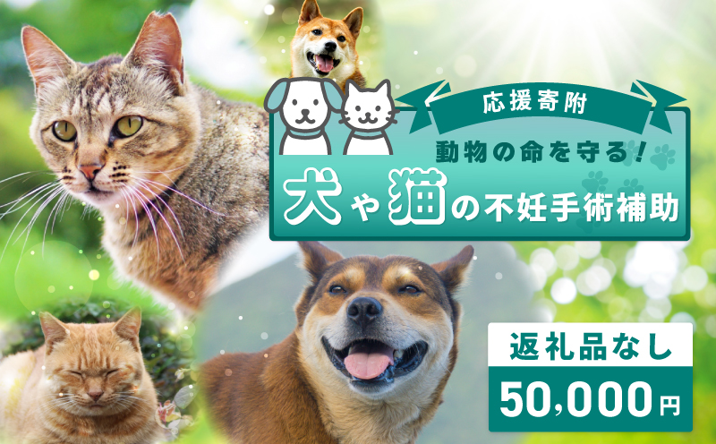 【返礼品なし】動物の命を守る！犬や猫の不妊手術補助 応援寄附（大阪府泉佐野市）　【大阪 泉佐野 大阪府 泉佐野市】