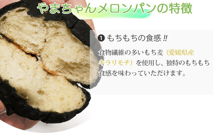 もちもち メロンパン 6種 食べ比べ 合計８個 詰め合わせ セット 山ちゃん こだわりの手作り 愛媛県産もち麦使用 冷凍 プレーン 麻炭 紫いも 抹茶 チョコ 黒糖 甘さ控えめ