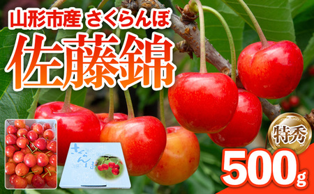 さくらんぼ 佐藤錦 500g 特秀 【令和8年産先行予約】FS25-143