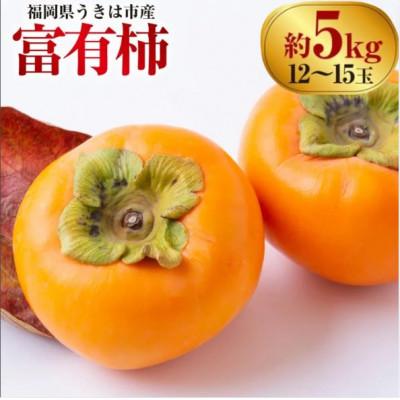 ふるさと納税 うきは市 【先行予約】西見柿農園 富有柿 12玉から15玉(約5kg)【2026年11月上旬より順次発送予定】