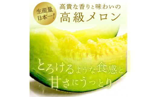 【3ヶ月定期便】アールスメロン（マスクメロン）1個入り（約1.5kg 2kg）×3回