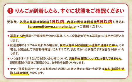 【訳あり】 大容量 青森県産りんご 2026年1月～ サンふじ 10kg りんご