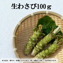 【ふるさと納税】安比清流山葵園 生わさび 100g ／ ワサビ 生 わさび 山葵 調味料 薬味 刺身 ステーキ 蕎麦 和え物 漬け物 刻み おろし 辛味 和食 お取り寄せ お寿司 そば 寿司 料理 自宅用 家庭用 100グラム お試し お蕎麦 産地直送 オススメ 岩手県 八幡平市 送料無料