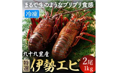 【 先行予約 2026年度発送】 冷凍伊勢海老 2尾 約1kg 刺身用