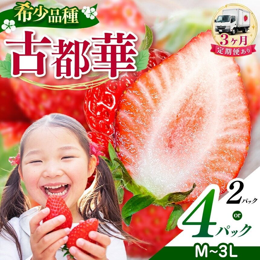 【ふるさと納税】【選べる内容量】平群の古都華 2L〜3L or M～L サイズ | 果物 くだもの フルーツ いちご 苺 先行予約 ストロベリー 古都華 ことか 旬の品種 フードロス 産地直送 奈良県 平群町