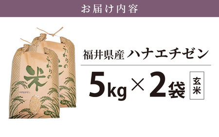 【新米】 令和7年産 ハナエチゼン 10kg 福井県産【玄米】【お米 はなえちぜん 華越前 10キロ】 [e30-b010]