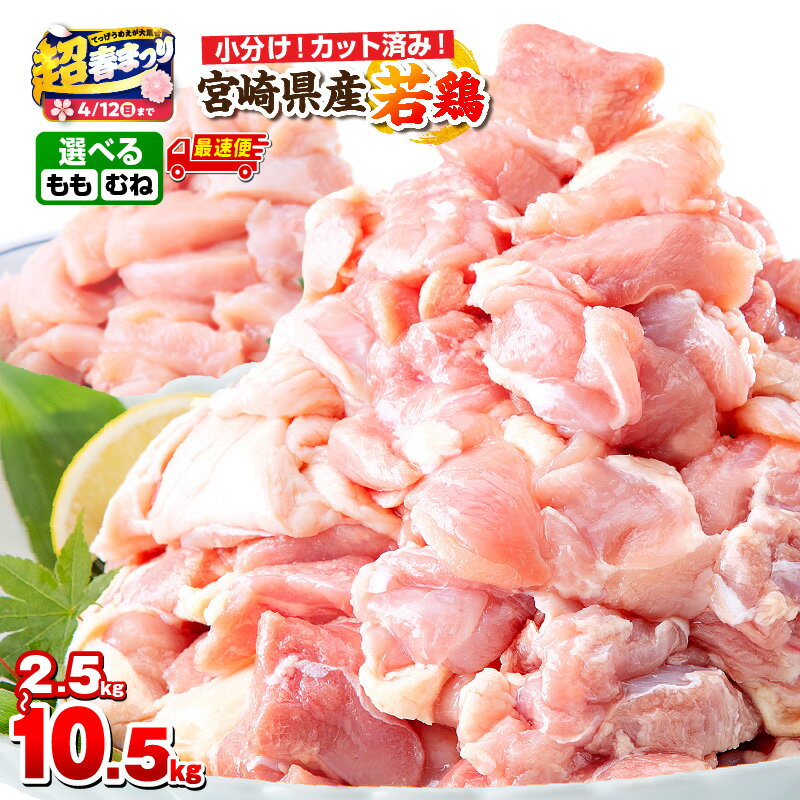 【ふるさと納税】【超！春まつり 生活応援・大感謝規格】【内容・発送時期が選べる】宮崎県産若鶏（カット済み） 小分け真空パック もも肉 むね肉 肉 お肉 精肉 鶏 若鶏 鶏もも 鶏むね 鶏もも肉 鶏むね肉 セット パック 国産 ストック カット 人気 おすすめ ふるさと 宮崎