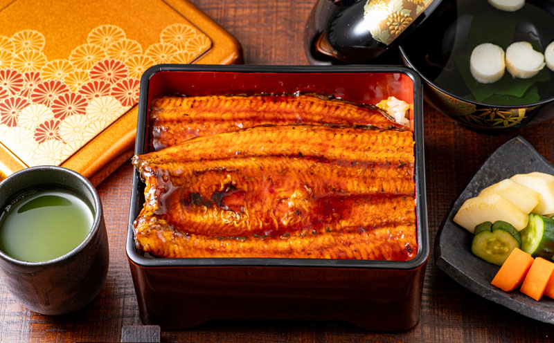 鹿児島産 超特大うなぎ蒲焼240g×1尾　KN021-042-01