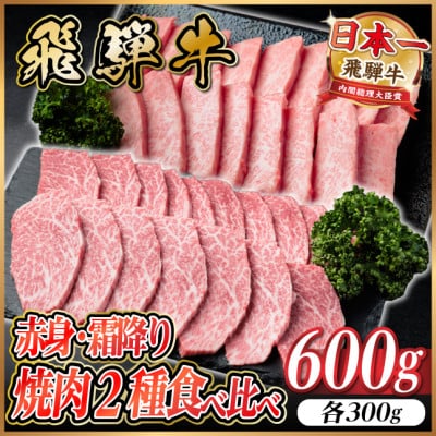 飛騨牛　赤身・霜降り焼肉2種食べ比べセット(ヒレ・三角バラカルビ)　計600g(各300g)タレ付き【配送不可地域：離島】【1745784】