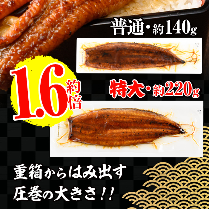 i1172-B ＜定期便・計3回(隔月)＞＼特大サイズ／鹿児島県産 うなぎ蒲焼 2尾セット＜（約220g×2・計約440g）×全3回＞ 定期便 たれ 山椒付きうなぎ 鰻 ウナギ 特大 特大サイズ 約2