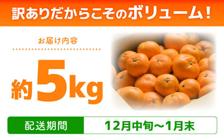 【訳あり】家庭用 南高みかん 5kg / みかん ミカン 蜜柑 果物 フルーツ / 南島原市 / 南高果樹農業協同組合[SGI001]