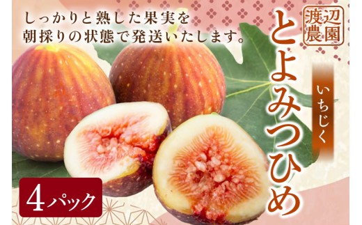 【ふるさと納税】【先行予約】いちじく とよみつひめ 4パック イチジク 無花果 フルーツ 果物 果実 くだもの 国産 甘い 旬 秋の味覚 ギフト 贈り物 家庭用 プレゼント 冷蔵 送料無料 福岡 返礼品 うきは市 渡辺農園【2026年8月上旬～9月中旬より順次発送予定】