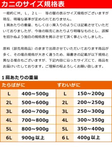 生ズワイ蟹セット 1.2kg | 蟹 [2917]