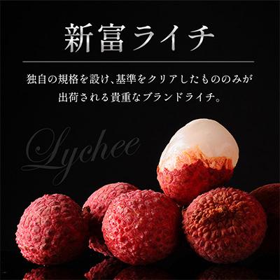 ふるさと納税 新富町 【マツコの知らない世界で紹介!】先行受付 希少!宮崎県産完熟ライチ「新富ライチ」40g前後×10玉 |  | 01