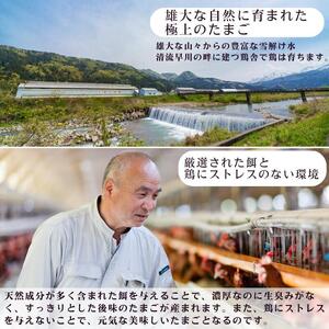 カットシフォン６個入 こだわりのシフォンケーキ 際立つたまごの美味しさ！ふわふわ 食感 糸魚川 新潟 フェルエッグ しっとり ふわふわ シフォンケーキ カットシフォン スイーツ 
